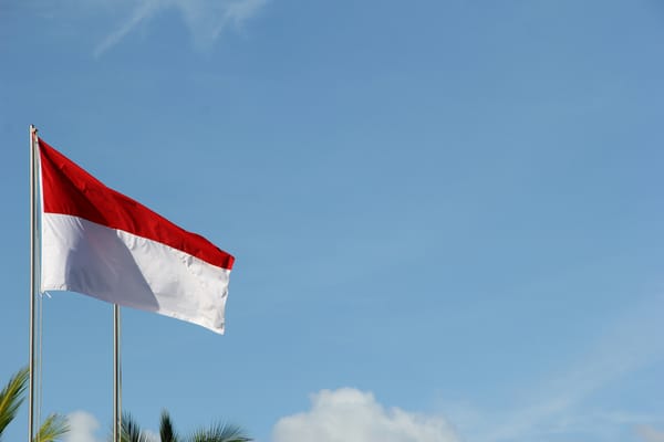 Indonesia’s nickel gamble and the future of clean tech